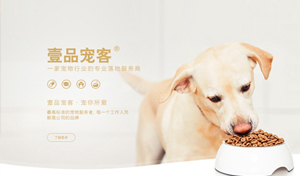 壹品宠客官网宠物寄养 宠物社交 宠物美容